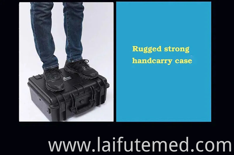 Animal Ultrasound Scanning Machine Bw590V Digital Veterinary Diagnostic Ultrasonic Imaging System, Ideal for Veterinary Service Center, Research Institute